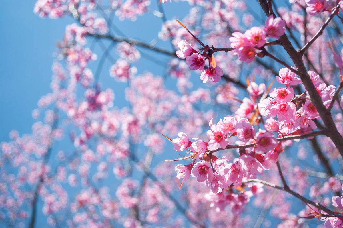 La forza della Comunicazione