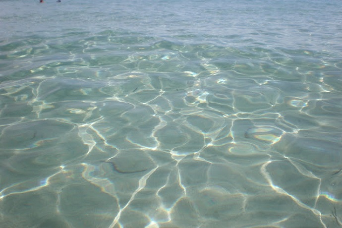 La Trasparenza dei leader e delle organizzazioni