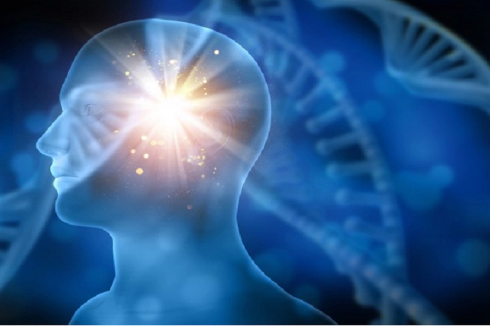 Neuromarketing: gli acquisti sono sempre razionali?